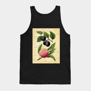 Vintage Plums Peach Botanical on Old Book Pages Tank Top